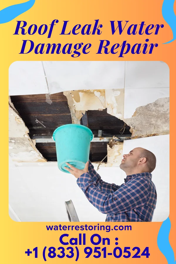 Roof Leak Water Damage Repair in Whiting, WY